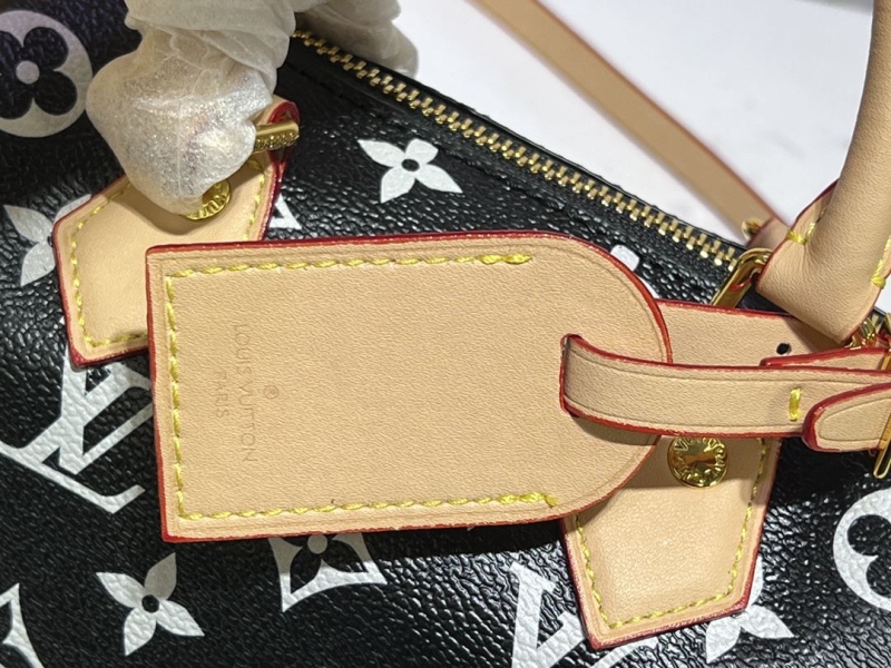 LV Speedy Bags